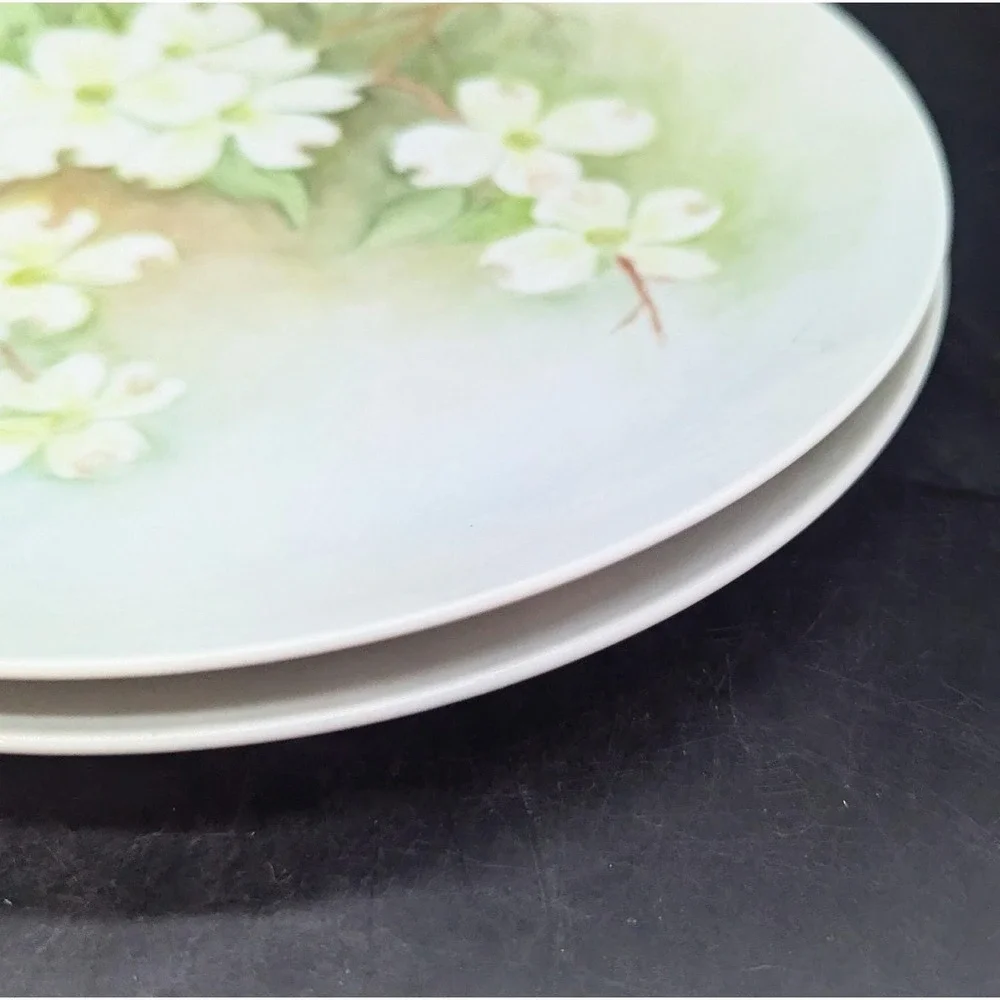 Set/2 Vintage Hand Painted Floral Flower 10